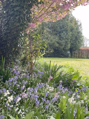 Gardens- click for photo gallery